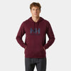 Helly Hansen HH Logo Hoodie