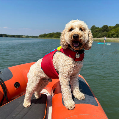 Spinlock FIDO Life Jacket for Dogs