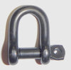 Wichard 1/4" Diameter D Shackle w/ Captive Pin - Black